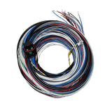 FuelTech FT450/550 A Unterminated Harness (3 meters)