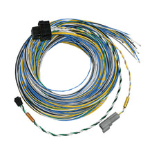 Load image into Gallery viewer, FuelTech FT550 B Harness – 3m Unterminated ECU Wiring Connector