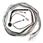 تحميل الصورة في عارض المعرض ، FuelTech FT600/FT700 A &amp; B Harness Kit – 3m Unterminated ECU Wiring Connector