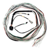 FuelTech FT600 / FT700 A & B Unterminated Harness (3 meters)