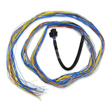 Load image into Gallery viewer, FuelTech FT600/FT700 A &amp; B Harness Kit – 3m Unterminated ECU Wiring Connector
