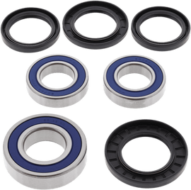 02150062 ALL BALLS من آآل بالز Rear Wheel Bearing طقم رمان عجلة خلفية - BOOST BOX PERFORMANCE All Balls Racing02150062